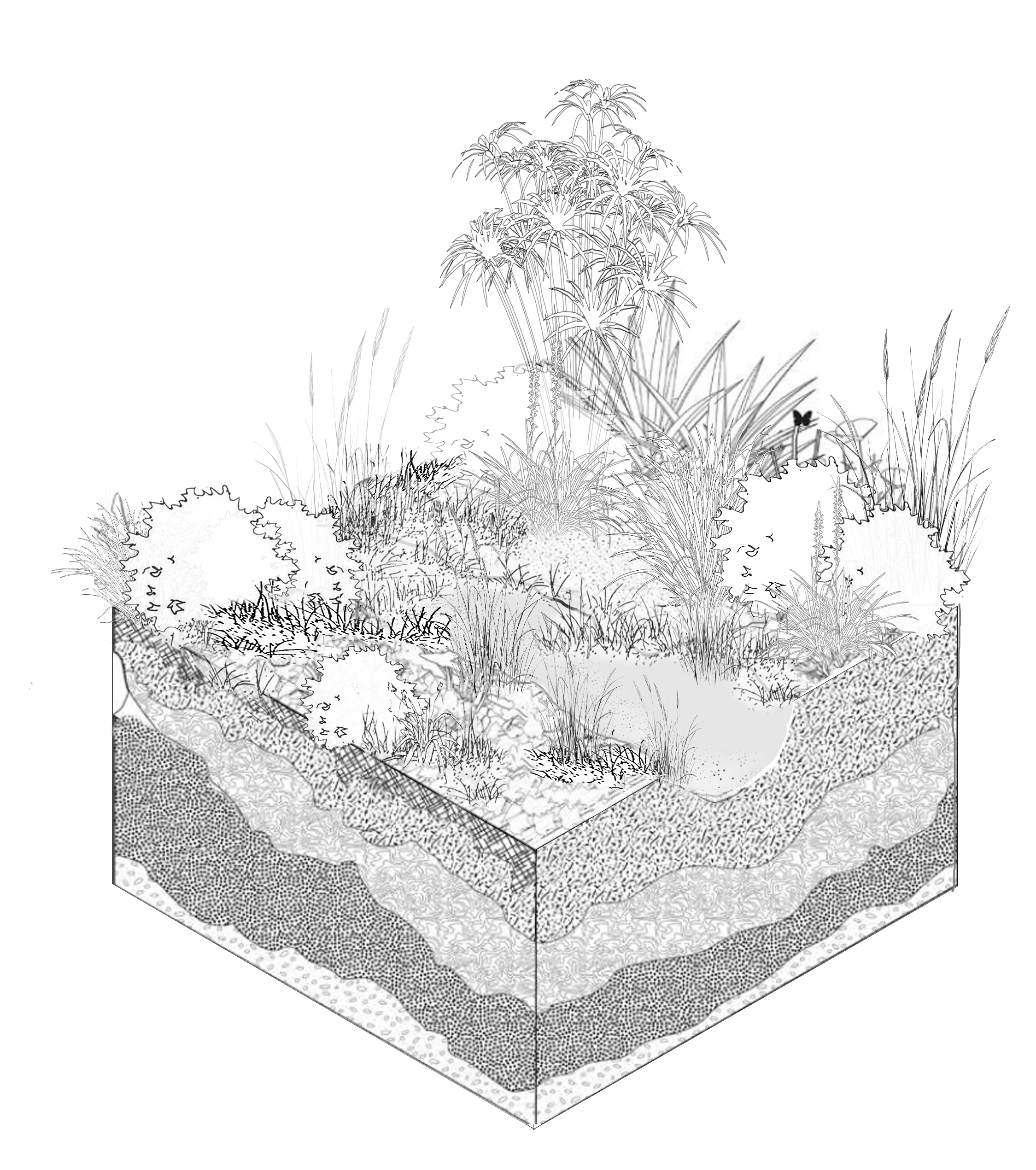 Landscape Design